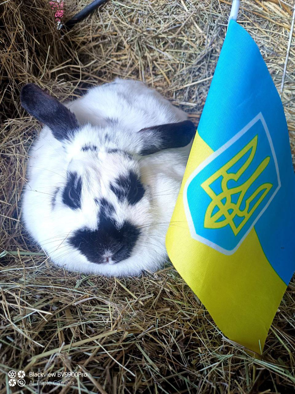 Kharkiv