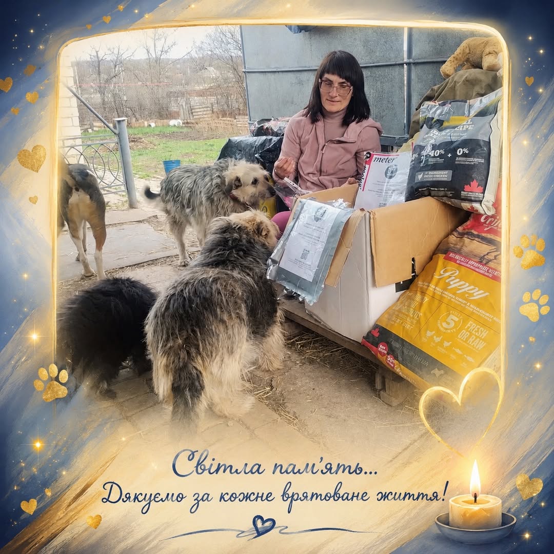 Druzhkivka